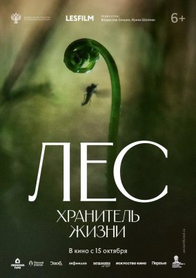 Лес. Хранитель жизни